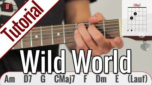 Cat Stevens (Yusuf Islam) – Wild World | Gitarren Tutorial Deutsch