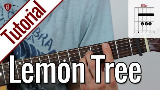 Fools Garden – Lemon Tree | Gitarren Tutorial Deutsch