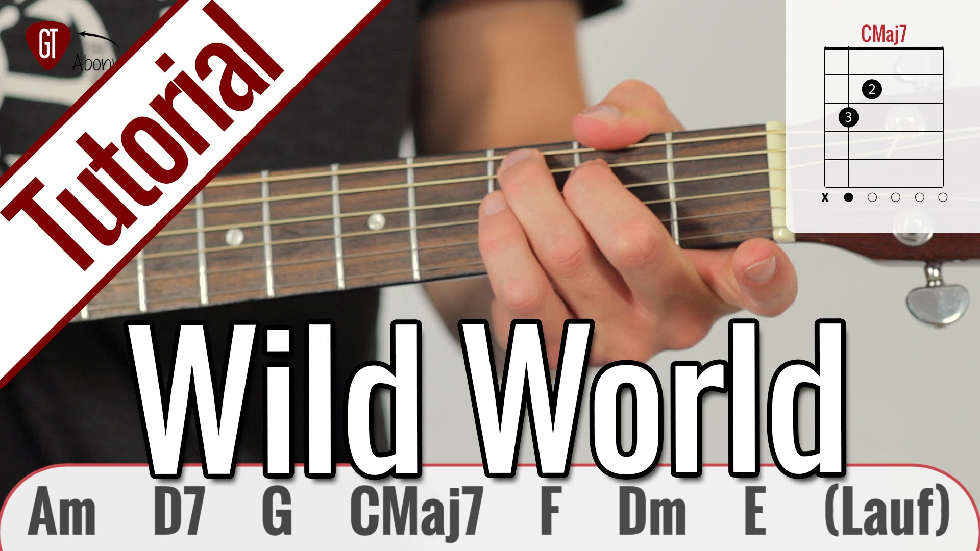 Cat Stevens (Yusuf Islam) – Wild World | Gitarren Tutorial Deutsch
