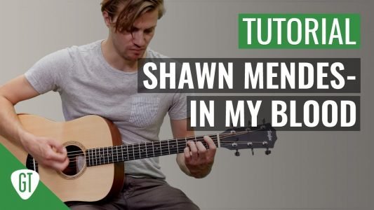 Shawn Mendes – In My Blood | Gitarren Tutorial Deutsch